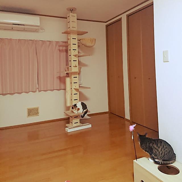nachiさんの実例写真