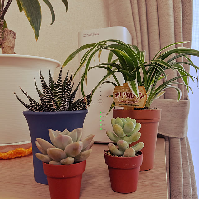 HIROさんの実例写真