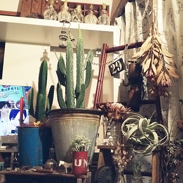 yuriさんの実例写真