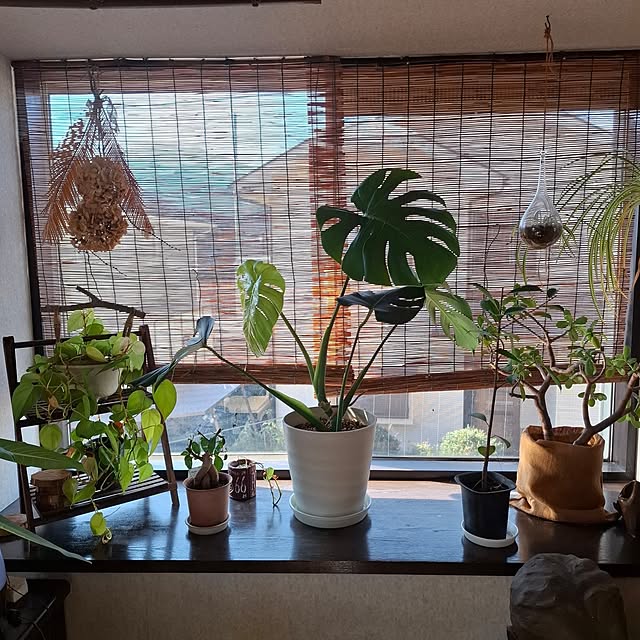 midoriさんの部屋