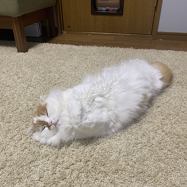 keiさんの実例写真