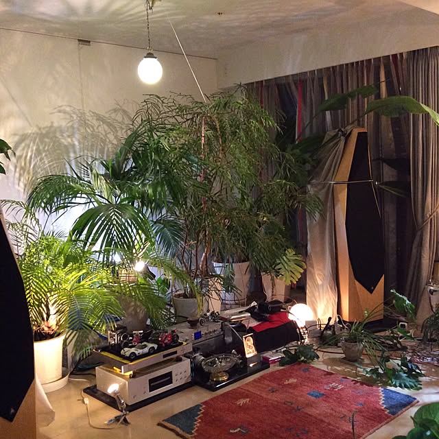 部屋全体のインテリア実例 - 2017-06-27 23:13:19