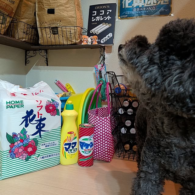 umeboshicyanさんの部屋