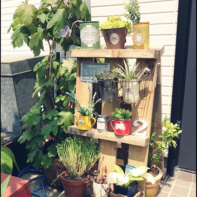 uraraさんの実例写真