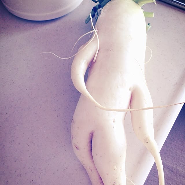 rookuさんの実例写真