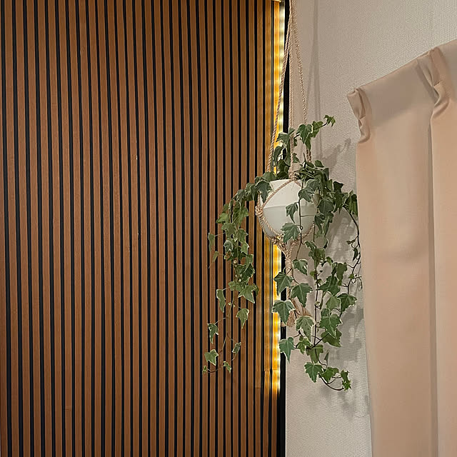 DAZさんの部屋