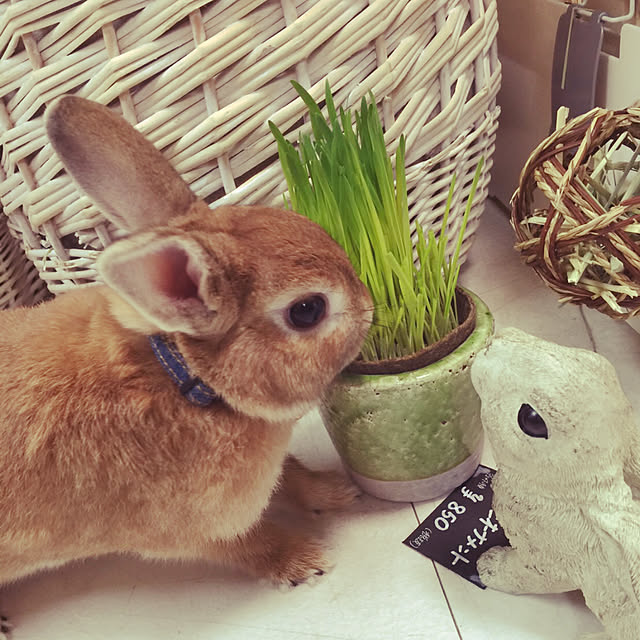 Yasuyukiさんの実例写真