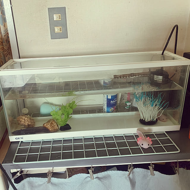 totoさんの部屋