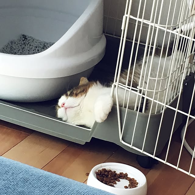 cotesanさんの実例写真