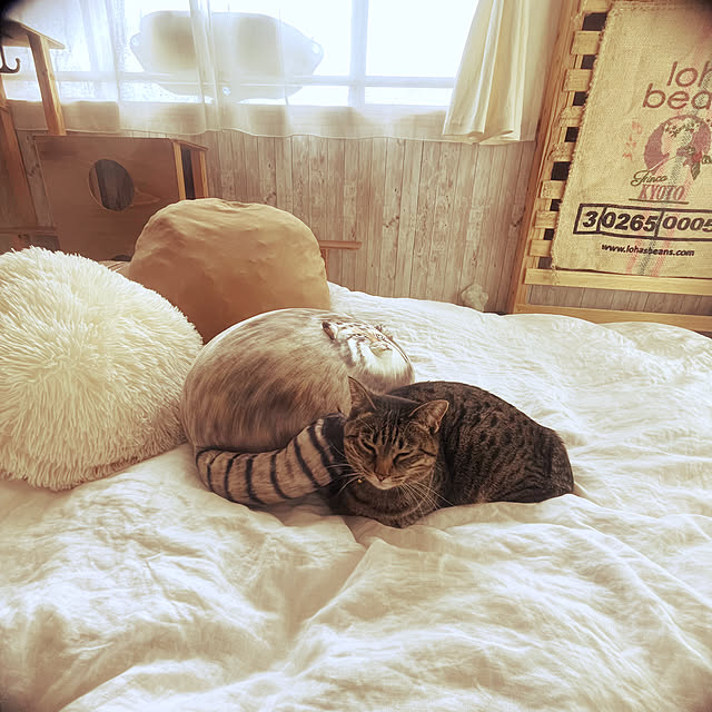 Mさんの部屋