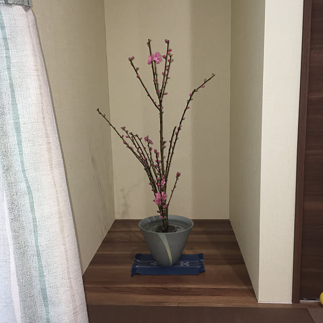 tomoさんの実例写真