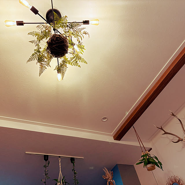 mamizuさんの実例写真