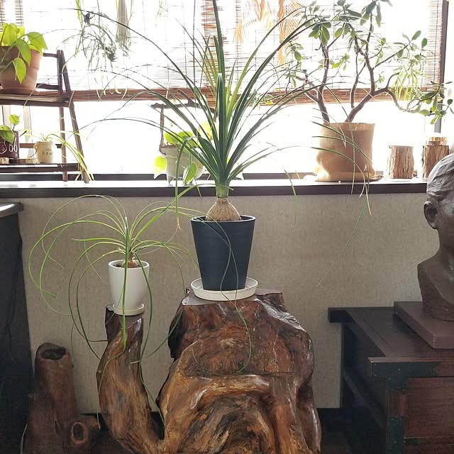 midoriさんの部屋