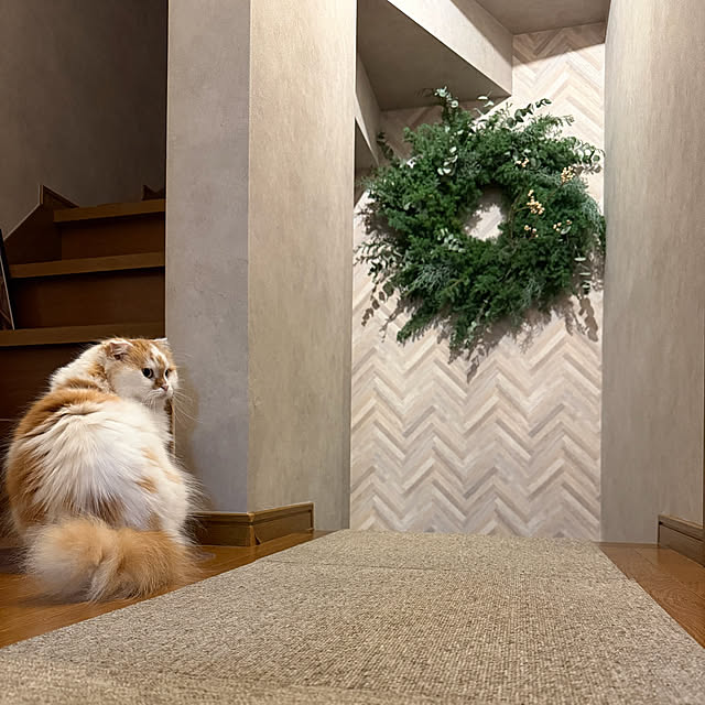 keiさんの実例写真