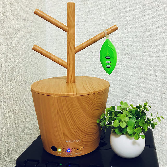 gorogororinさんの実例写真