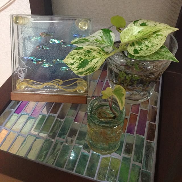 maiさんの実例写真