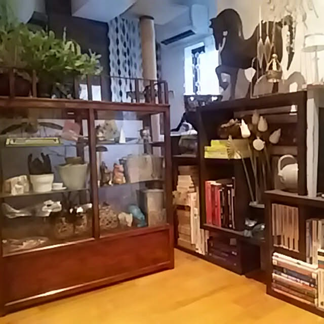 spinetailさんの実例写真