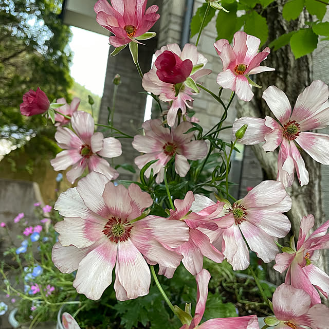 natsumiさんの部屋