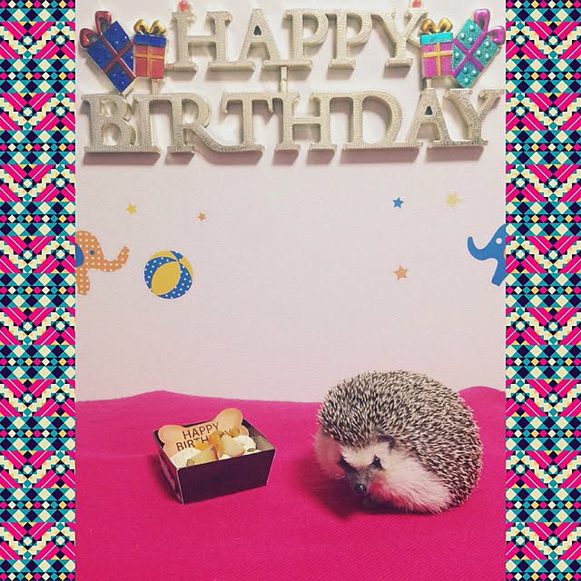 Mikiさんの実例写真