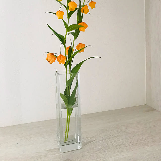 shiphoneさんの実例写真