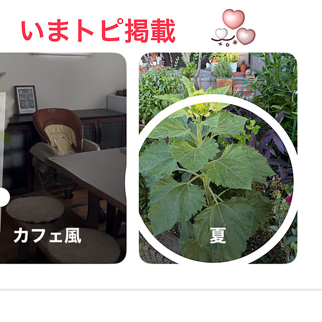 ritsukoさんの実例写真