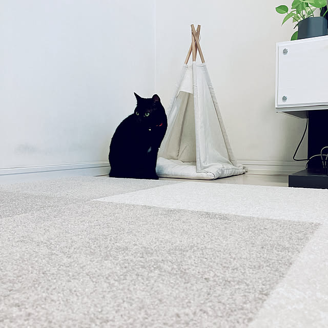nekomiさんの部屋