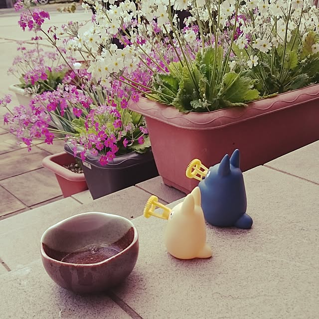 megmeg1450さんの実例写真