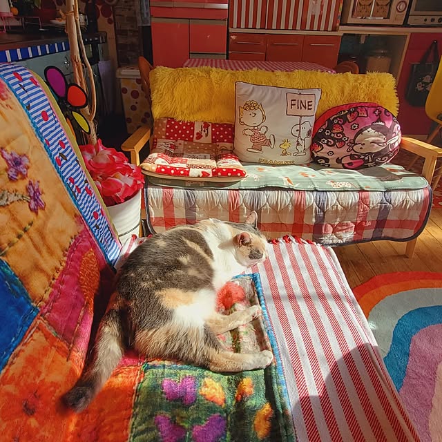 kumutanさんの実例写真