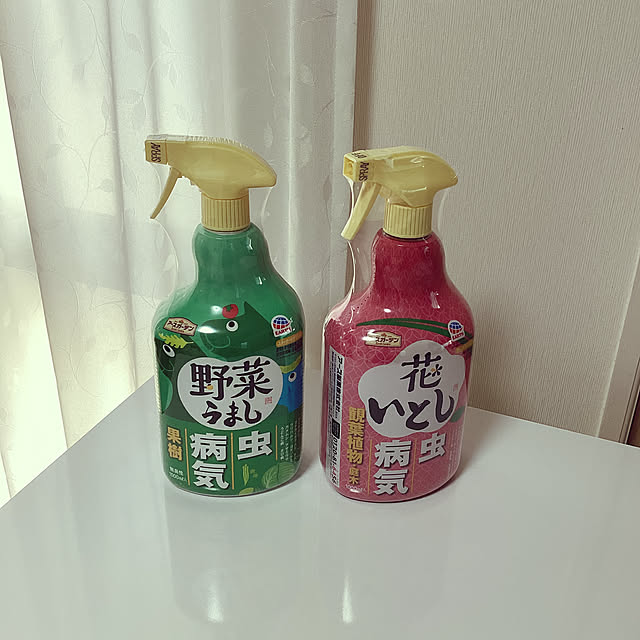 richanさんの実例写真