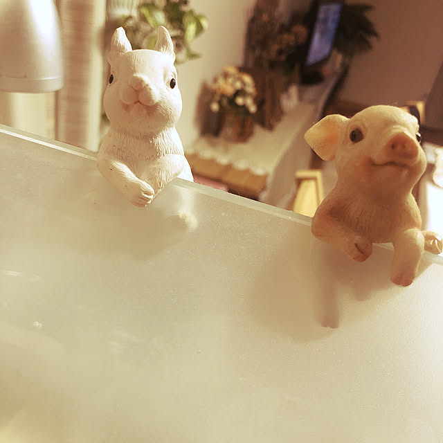 kokesaoさんの実例写真