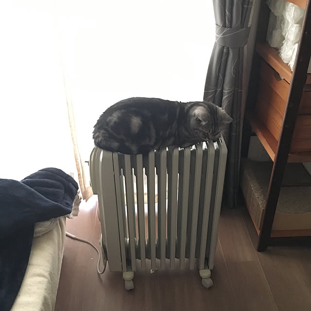 mikomaruさんの実例写真