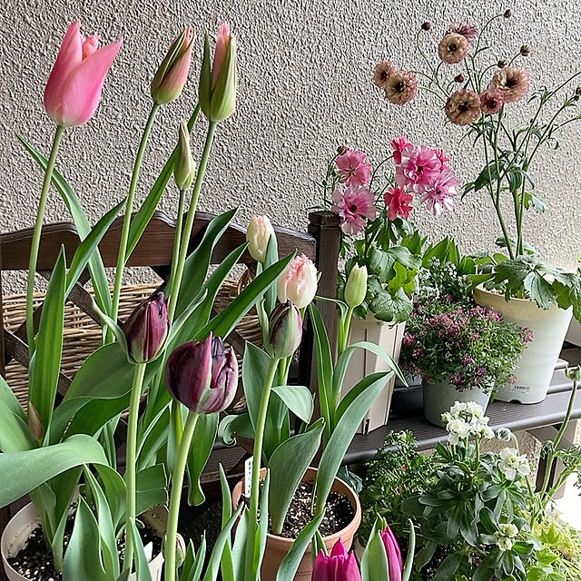 Dさんの部屋