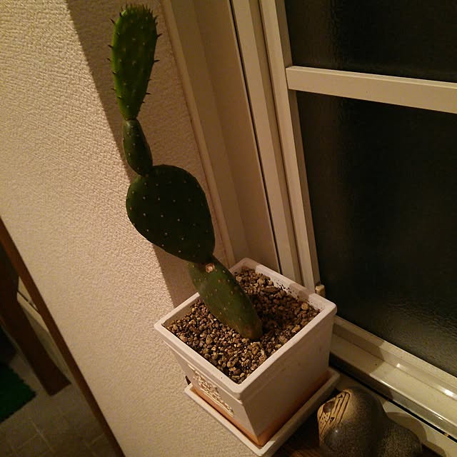 maitakekoさんの実例写真