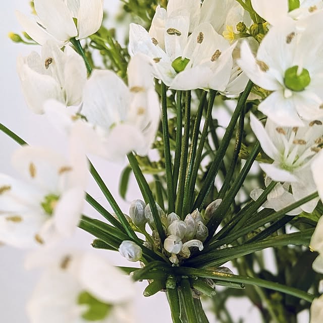 kumijiさんの部屋