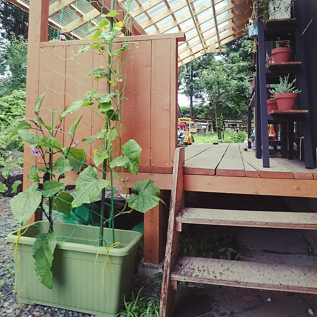 Yukieさんの実例写真