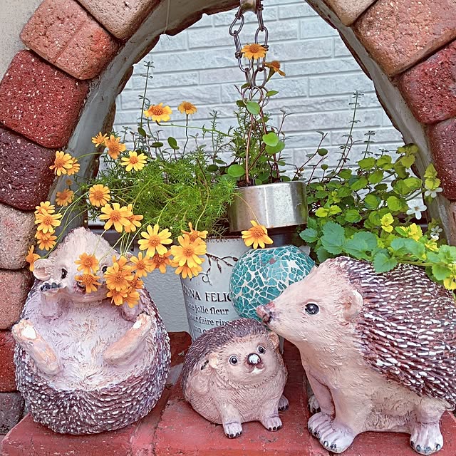 mocomocoさんの部屋