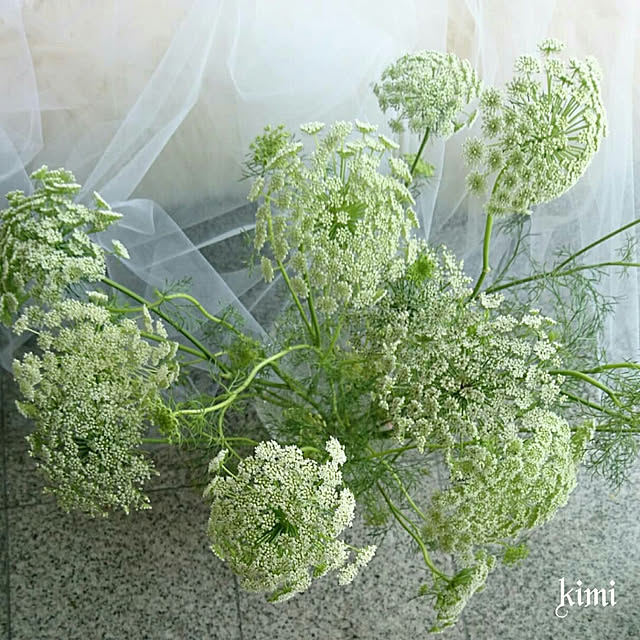 kimiさんの実例写真