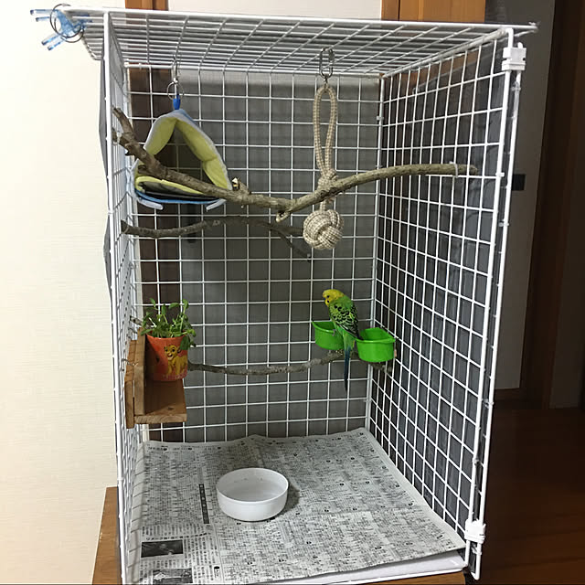 ayuさんの実例写真