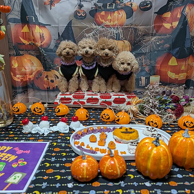 milk_hana_さんの部屋