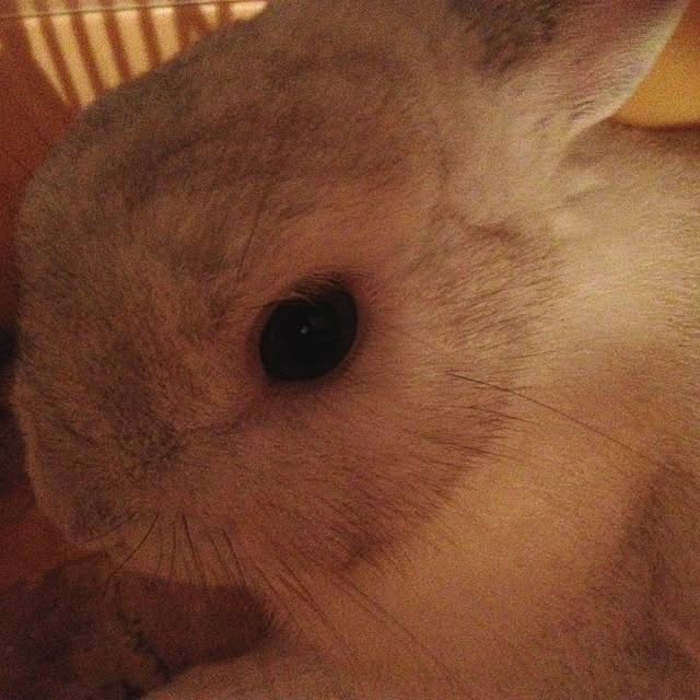 kimuさんの実例写真