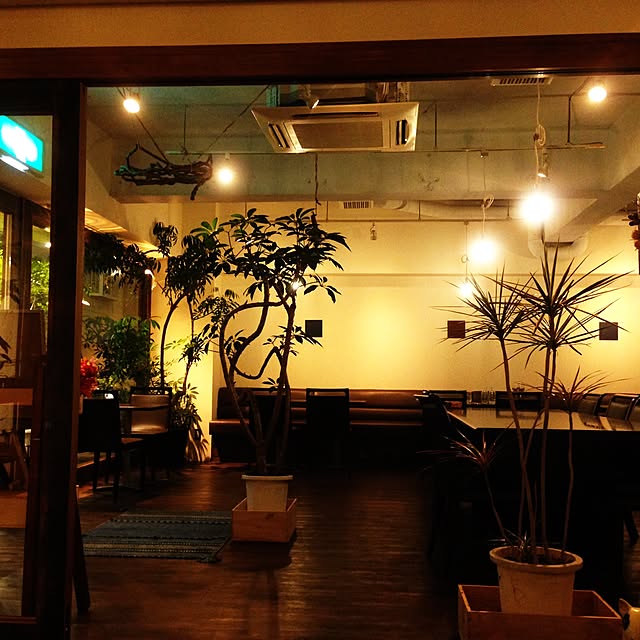 earlgrey2catさんの実例写真
