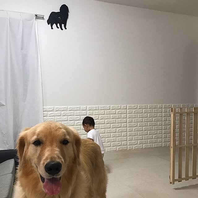 m_____11さんの実例写真