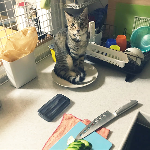 suemonta14さんの実例写真