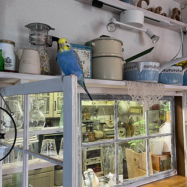 Atsukoさんの部屋