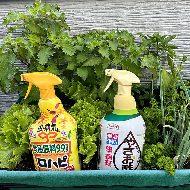 maaLさんの実例写真