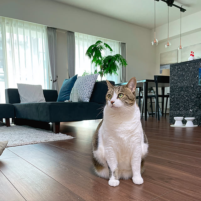 mari__home8さんの実例写真