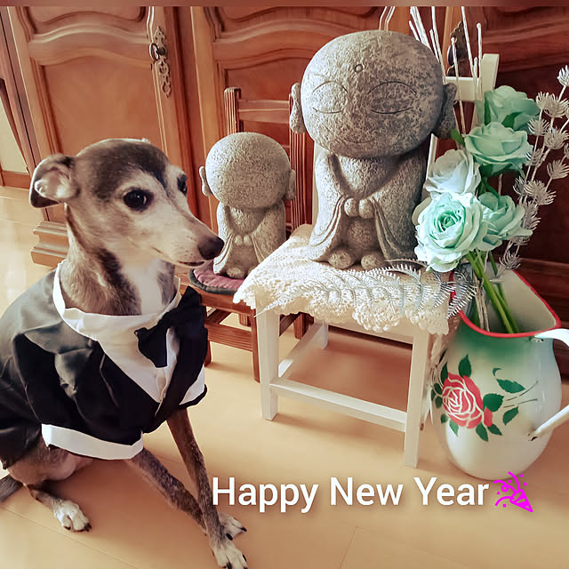 moruさんの実例写真