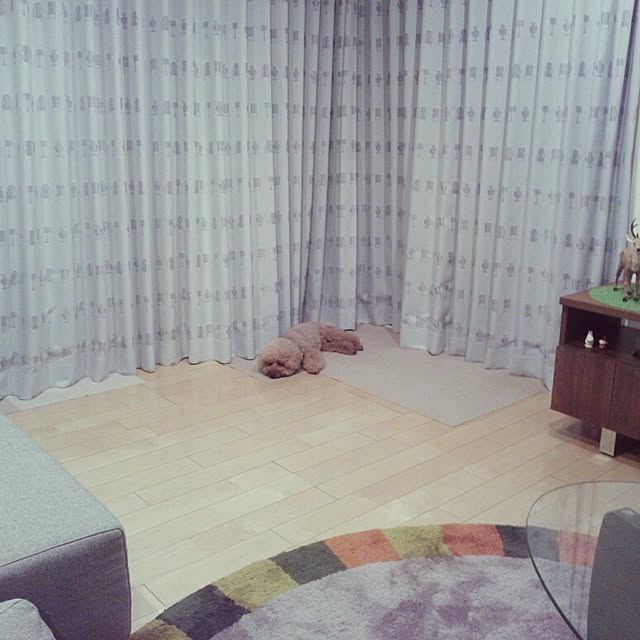 tomoさんの実例写真
