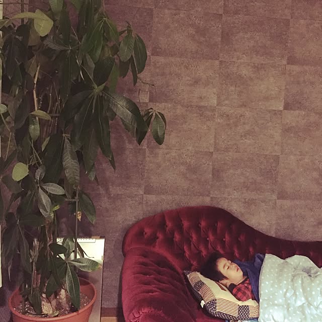 marina_blue_roseさんの実例写真