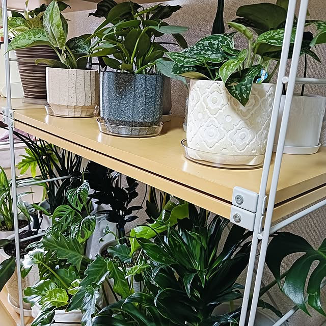 hanachanさんの部屋